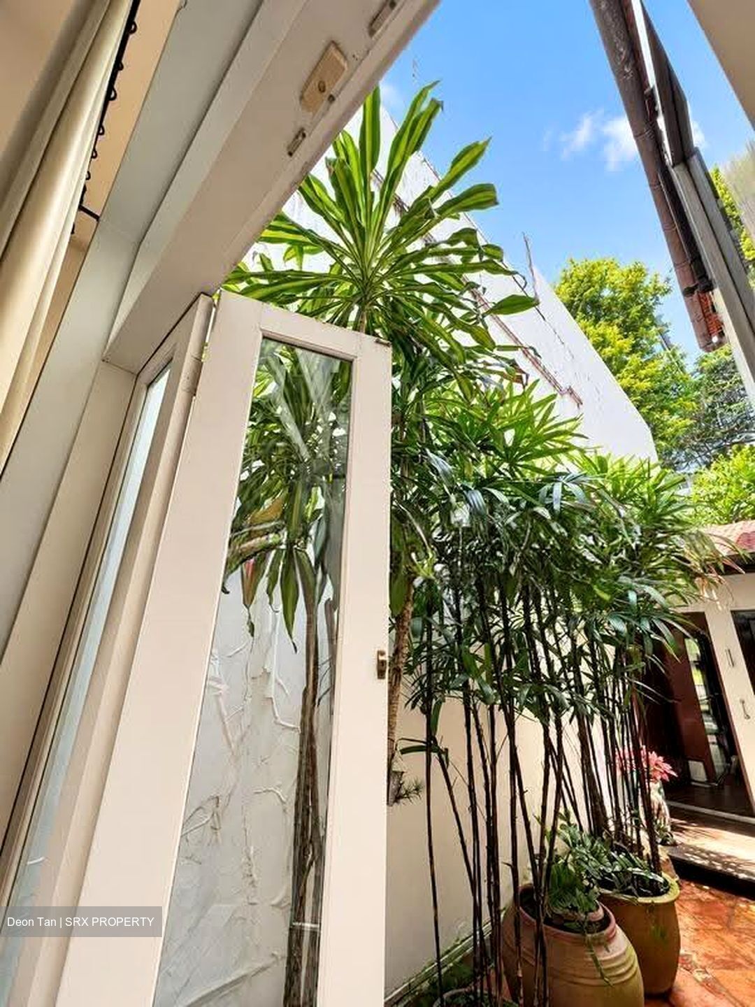 Anthony Road (D9), Terrace #636115401
